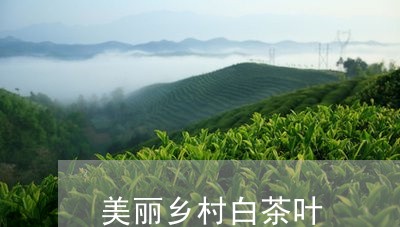 美丽乡村白茶叶/2023060806178