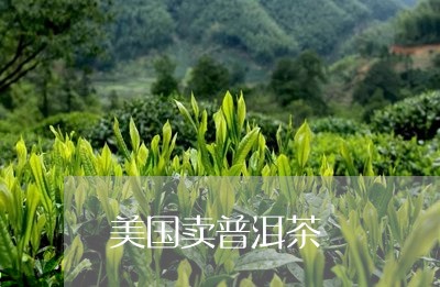 美国卖普洱茶/2023042773566