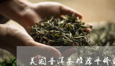 美国普洱茶推荐平价的有哪些/2023052873916