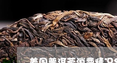 美国普洱茶消费情况分析/2023103192824