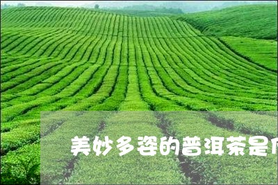 美妙多姿的普洱茶是什么茶/2023112805848