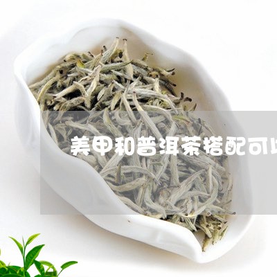 美甲和普洱茶搭配可以吗/2023102450694