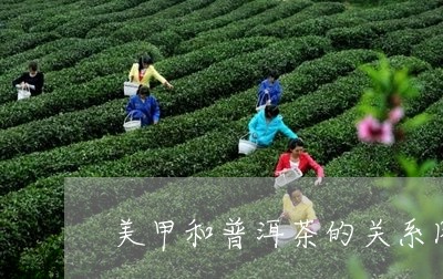 美甲和普洱茶的关系图片大全/2023052948583