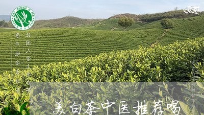 美白茶中医推荐喝/2023070868604