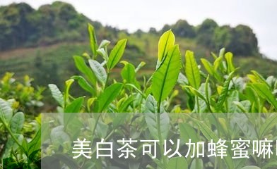 美白茶可以加蜂蜜嘛吗/2023042785260