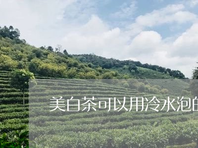 美白茶可以用冷水泡的嘛/2023110286147