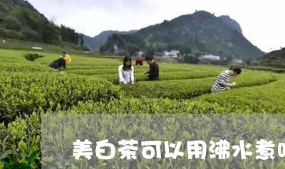 美白茶可以用沸水煮吗多久/2023042769372