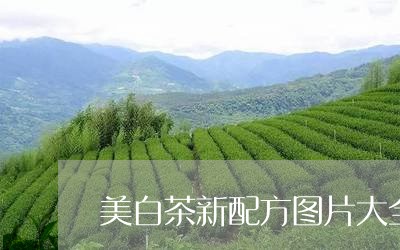 美白茶新配方图片大全大图/2023042718595