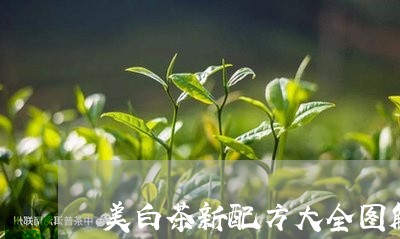 美白茶新配方大全图解视频/2023042703726