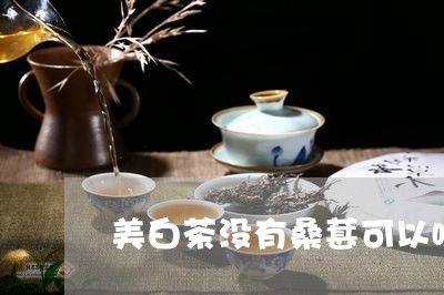 美白茶没有桑葚可以喝吗/2023110281504