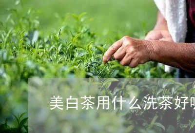 美白茶用什么洗茶好呢视频/2023111028351