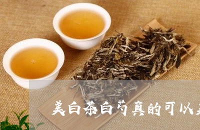 美白茶白芍真的可以美白吗/2023111023947