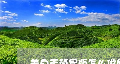 美白茶简易版怎么做好喝/2023110246270