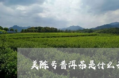 美陈号普洱茶是什么茶/2023062485937