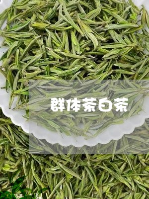 群体茶白茶/2023051153947