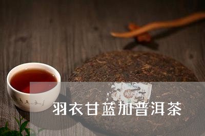 羽衣甘蓝加普洱茶/2023102639470