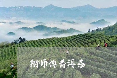 翔师傅普洱茶/2023042616419