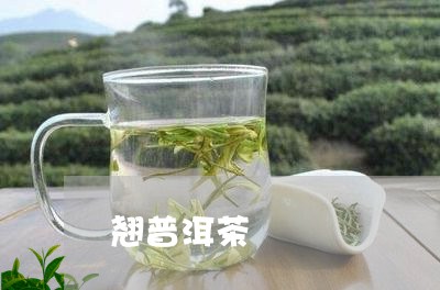 翘普洱茶/2023090179483