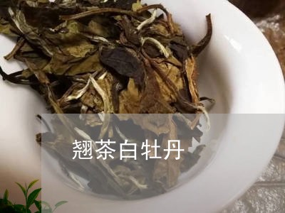 翘茶白牡丹/2023082791505