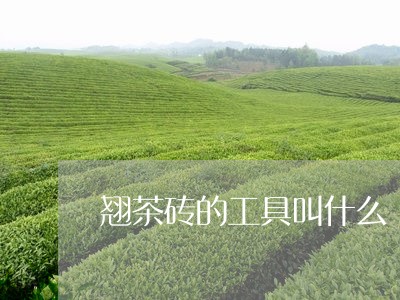 翘茶砖的工具叫什么/2023042254470