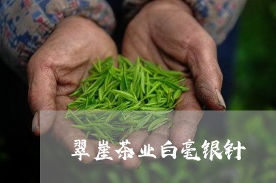 翠崖茶业白毫银针/2023090780694