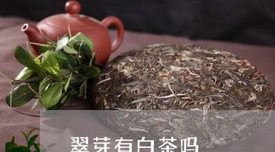 翠芽有白茶吗/2023052241595