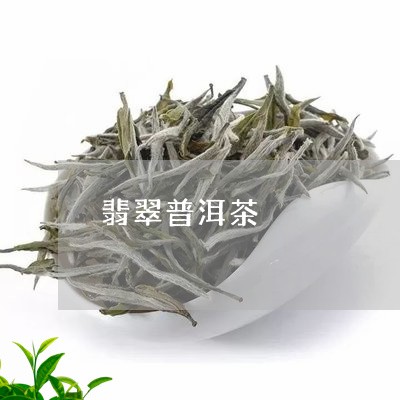 翡翠普洱茶/2023102542815