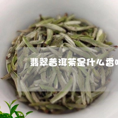 翡翠普洱茶是什么香味/2023082782703