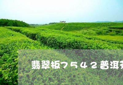 翡翠板7542普洱茶/2023062845050