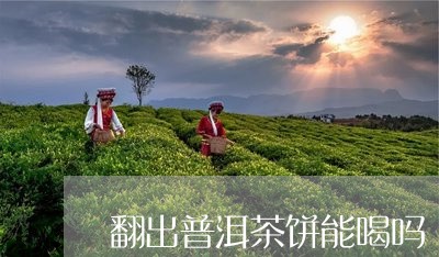 翻出普洱茶饼能喝吗/2023120528148