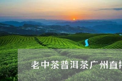 老中茶普洱茶广州直播/2023120663625