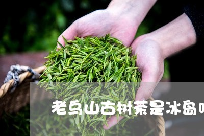 老乌山古树茶是冰岛吗/2023092321614