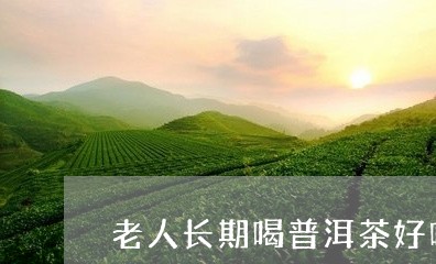 老人长期喝普洱茶好吗/2023080354936