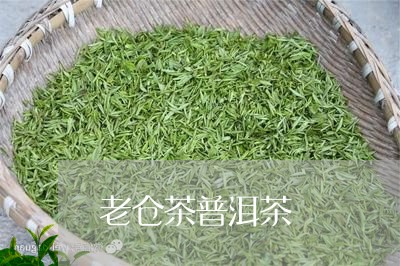 老仓茶普洱茶/2023042877295