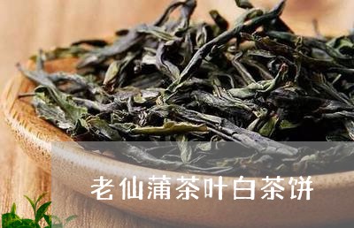 老仙蒲茶叶白茶饼/2023071372039