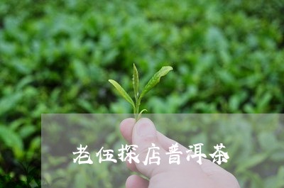 老伍探店普洱茶/2023102618379