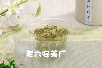 老六安茶厂/2023090271827