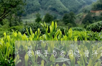 老同子与老同志普洱茶/2023092737383