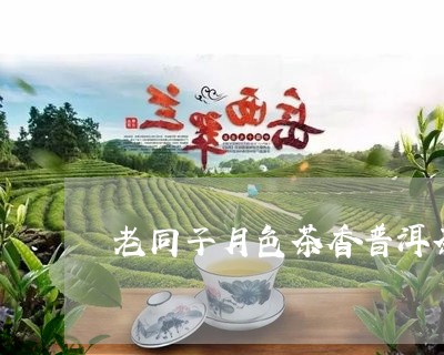 老同子月色茶香普洱茶/2023062343258