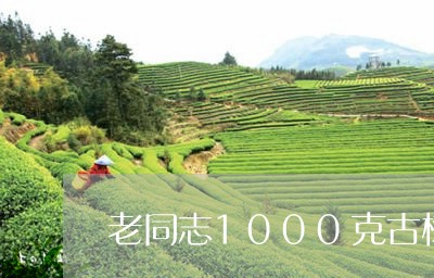 老同志1000克古树普洱茶价格/2023110372836