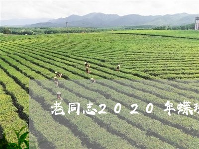 老同志2020年蝶现/2023092037404