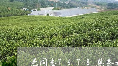 老同志7578熟茶是口粮茶吗/2023053115150