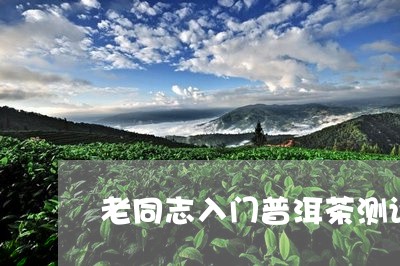 老同志入门普洱茶测评/2023120695025