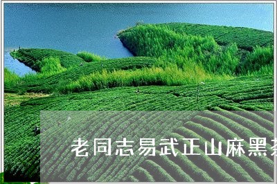 老同志易武正山麻黑茶/2023061136170