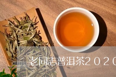 老同志普洱茶2020鼠饼价格/2023053040695