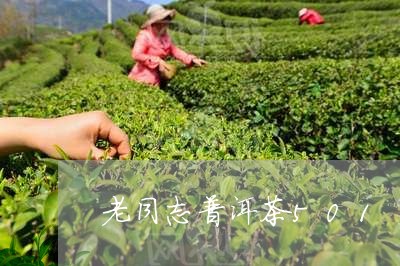 老同志普洱茶501/2023091499271