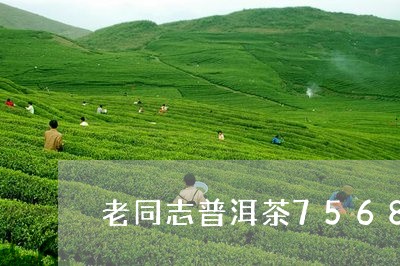 老同志普洱茶7568/2023062881713