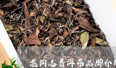 老同志普洱茶品牌介绍/2023100650369