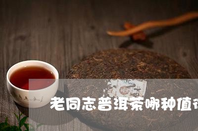 老同志普洱茶哪种值得收藏/2023112865147