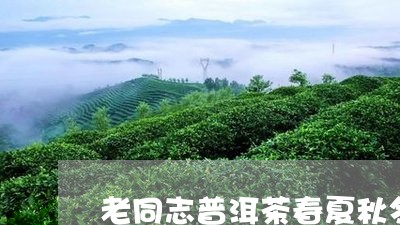 老同志普洱茶春夏秋冬/2023061794268